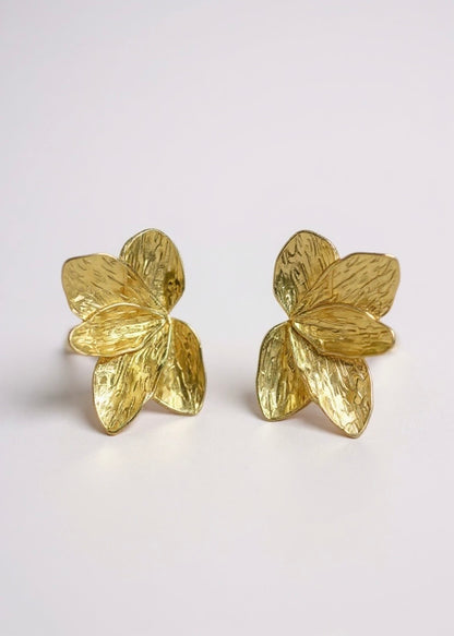 BOUCLES D'OREILLES - VANIA