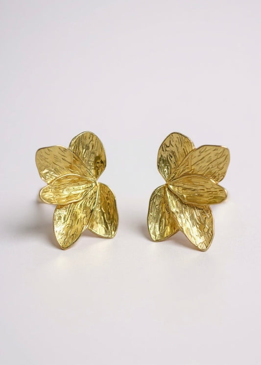 BOUCLES D'OREILLES - VANIA